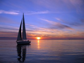 shutterstock_557857