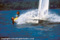 Sailing Image